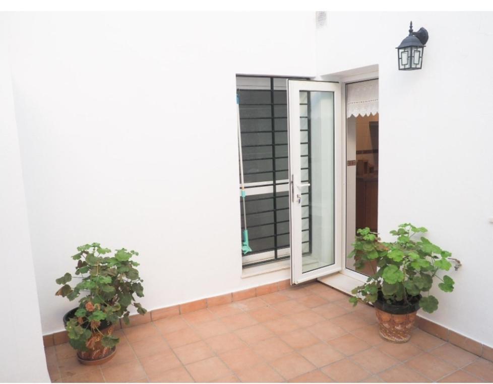 Conilplus Apartment Castilnovo Conil De La Frontera Eksteriør bilde